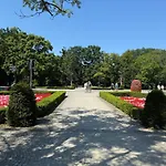 Platan - Visitopl