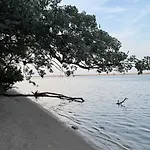 Platan - Visitopl Apartmán Svinoústí
