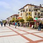 Platan - Visitopl Svinoústí