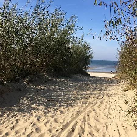 Platan - Visitopl Apartment