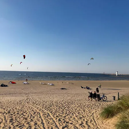 Lejlighed Platan - Visitopl