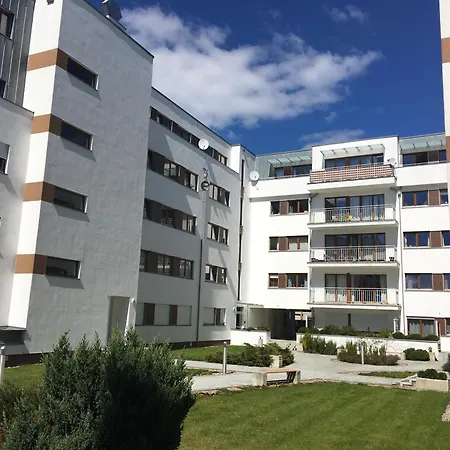 Platan - Visitopl *