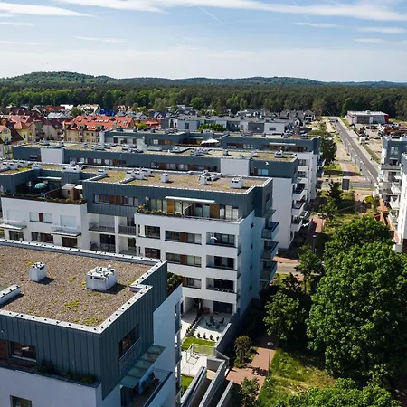 Platan - Visitopl Swinoujscie