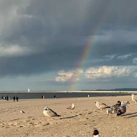 Lejlighed Platan - Visitopl Świnoujście (Swinemünde)