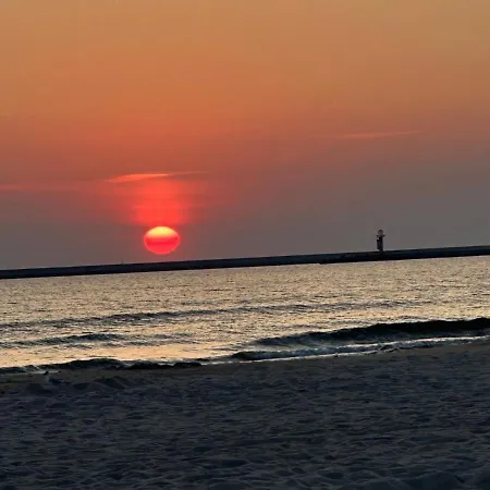 Platan - Visitopl Świnoujście