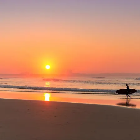 Lejlighed Platan - Visitopl