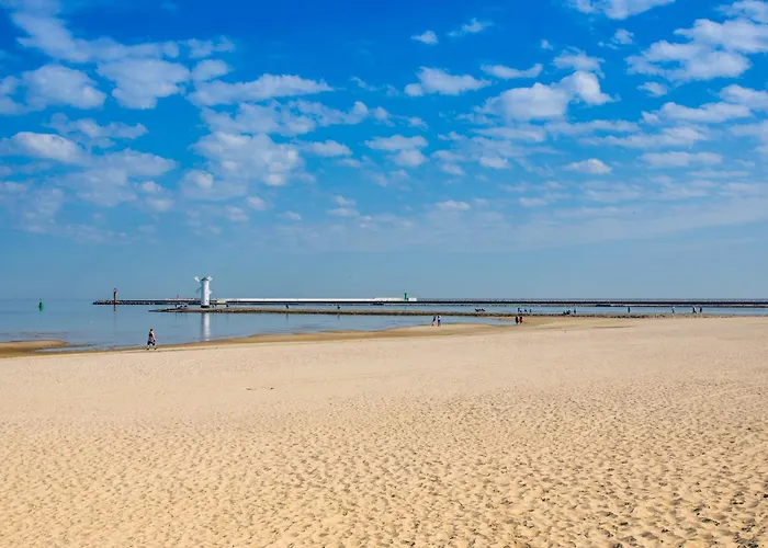 Platan - Visitopl سفينويتشي