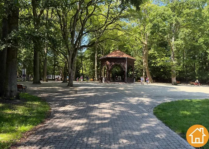 Platan - Visitopl سفينويتشي