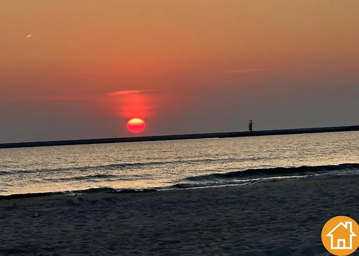 Platan - Visitopl سفينويتشي