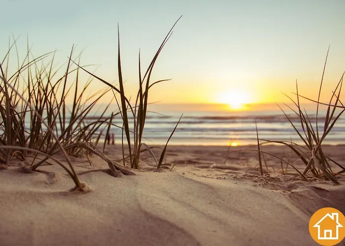 Platan - Visitopl شقة *