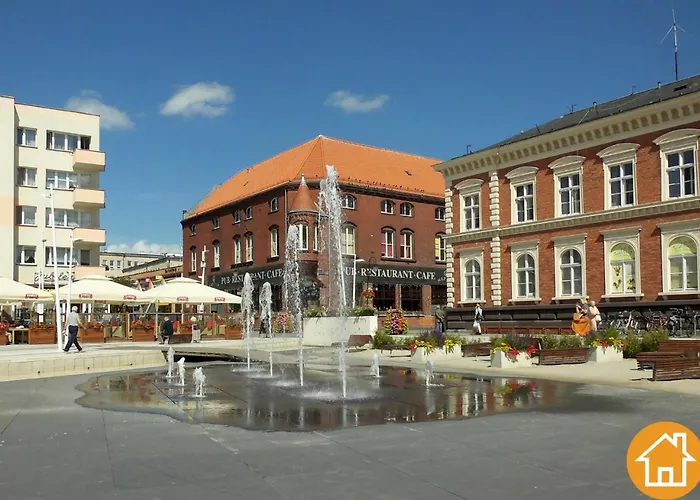 Platan - Visitopl سفينويتشي